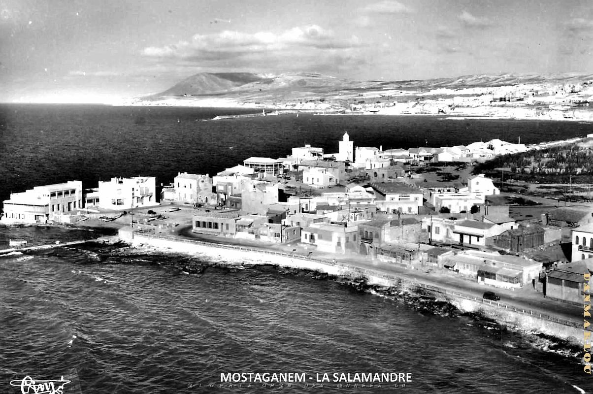 Mostaganem - Salamandre_2.jpg